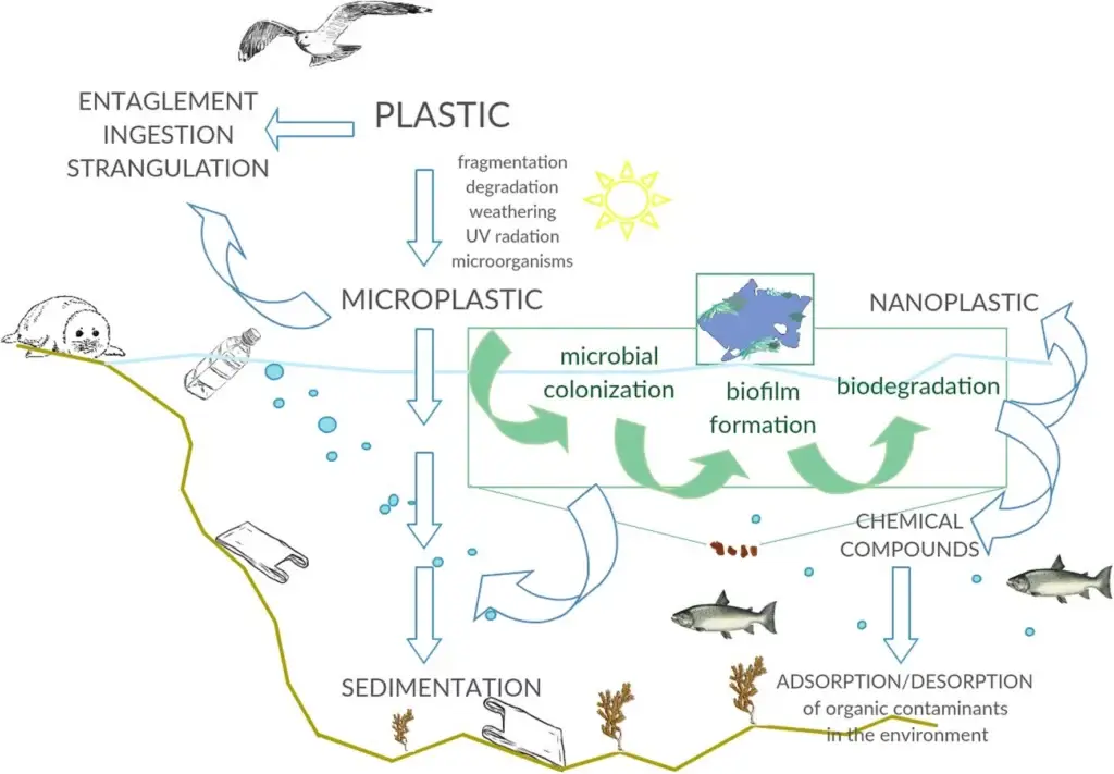 Microplastics and Nonoplastics